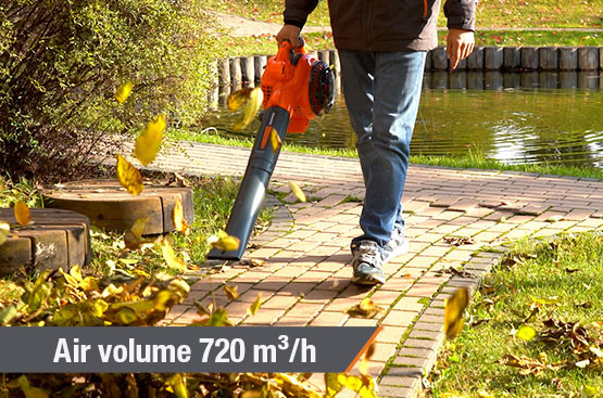 Leaf Blower and Vacuum DAEWOO DABL 270