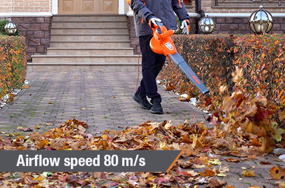Leaf Blower and Vacuum DAEWOO DABL 3000E