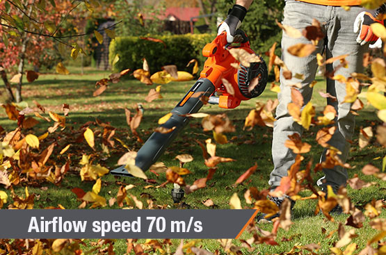 Leaf Blower and Vacuum DAEWOO DABL 270