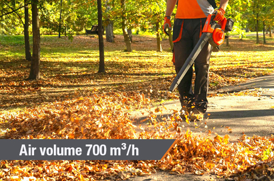 Leaf Blower and Vacuum DAEWOO DABL 9042Li
