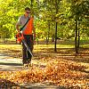 Leaf Blower and Vacuum DAEWOO DABL 9042Li SET